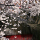 Sakura, Meguro